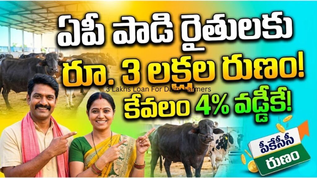 3 Lakhs Loan For Dairy Farmers