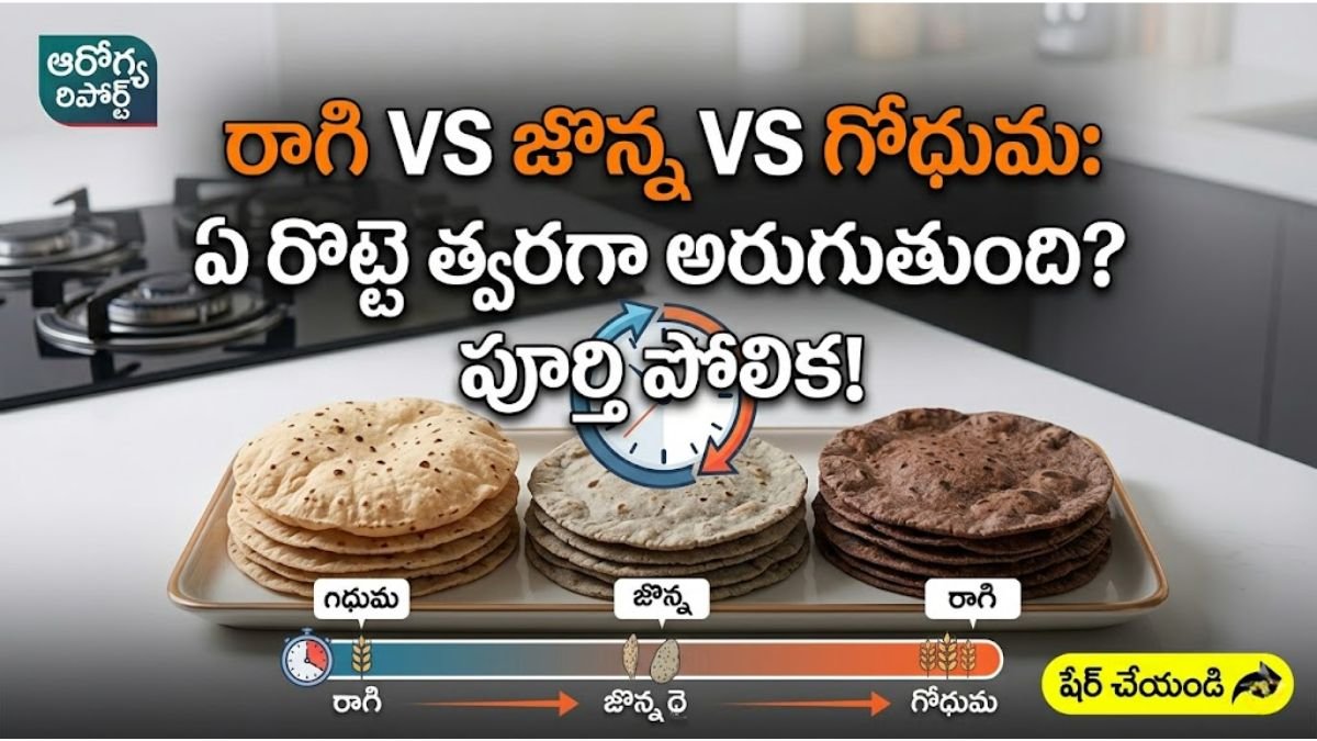 Best Easy to Digest Rotis Full detaIls 2026