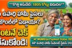 AP MGNREGA Payment Status 2026