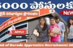Bank of Baroda Apprentice Recruitment 2026