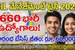 Coal India Limited MT Notification 2026 Apply Now