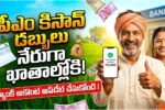 PM Kisan DBT Bank Account Update 2026